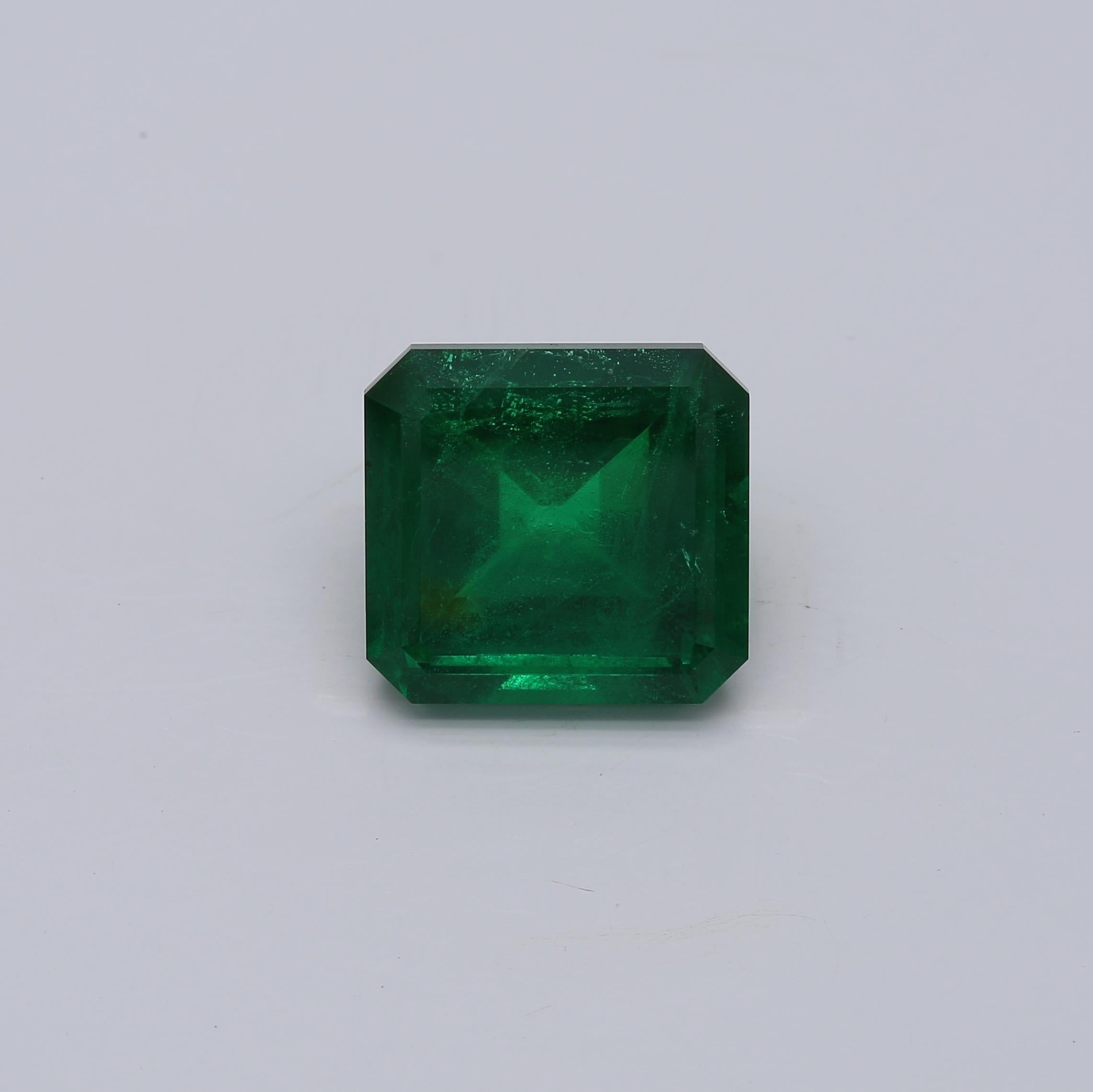 9.71 ct. Emerald GRS No Oil